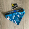 BANDANA pirati