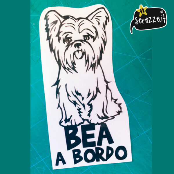 adesivo a bordo