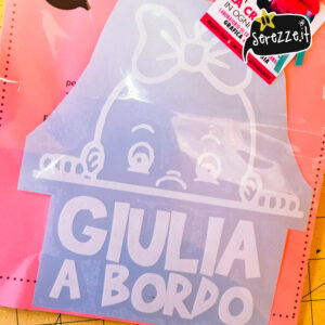 bebè a bordo