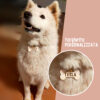 02_etichettaCOLOR_CANE_legno_LASER